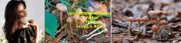 меф Семикаракорск