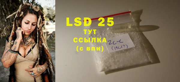 крисы Бородино