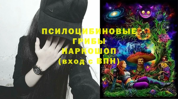 ешки Вязьма