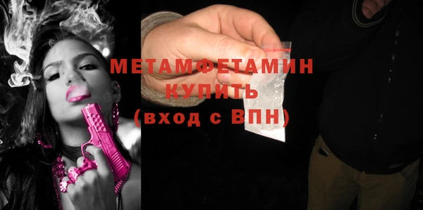 сатива Волоколамск