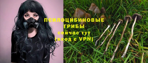 mdpv Вяземский
