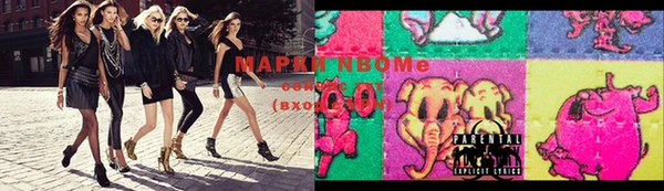 сатива Волоколамск