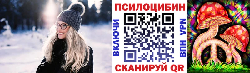 Галлюциногенные грибы Psilocybine cubensis  Гусиноозёрск 
